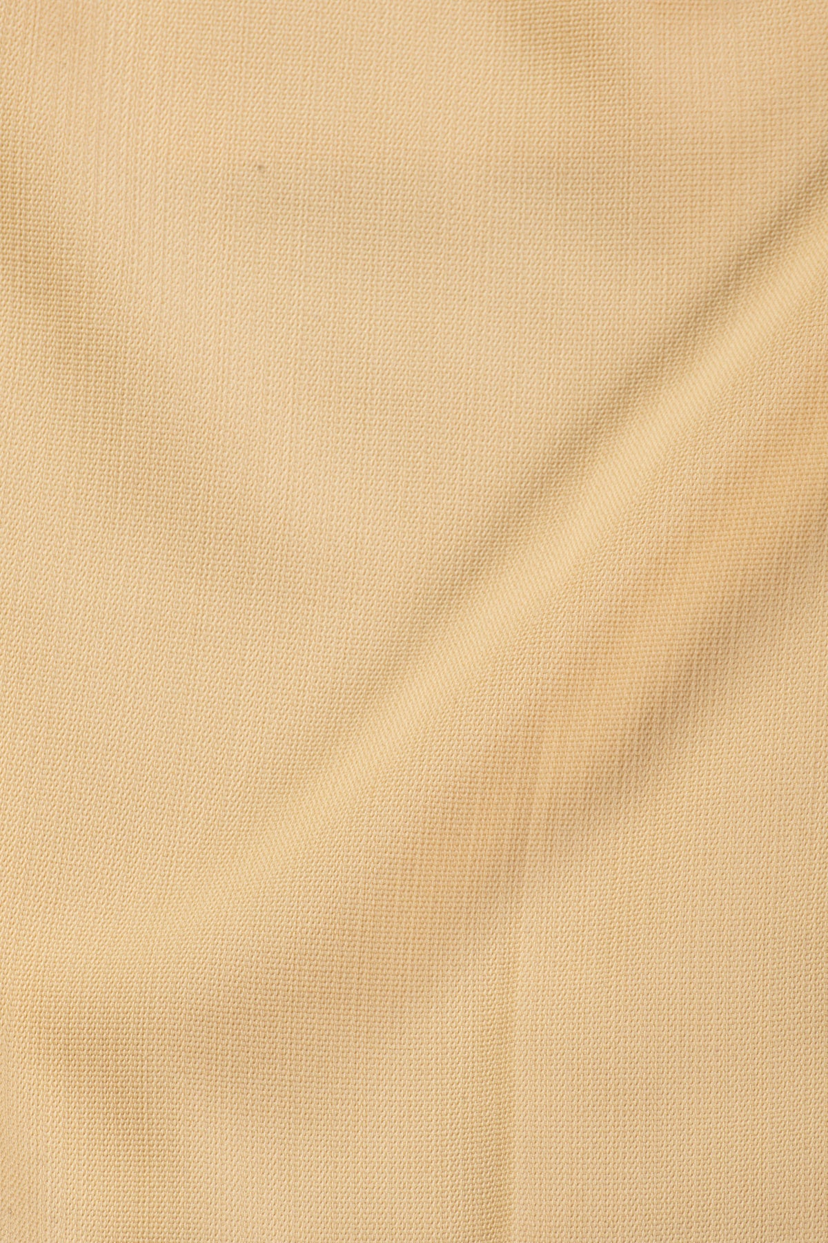 AP_004_BRMDS_01