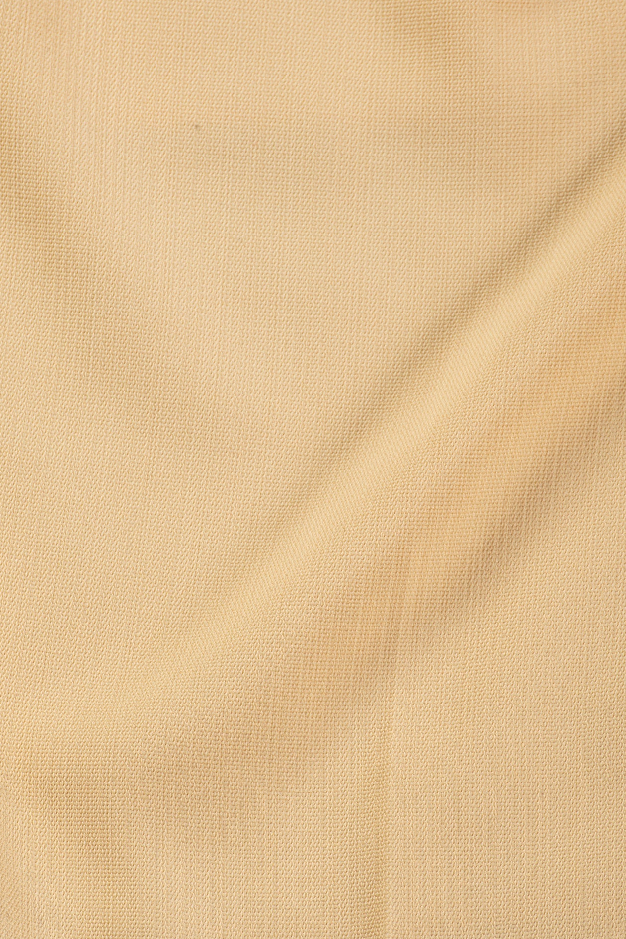 AP_004_BRMDS_01